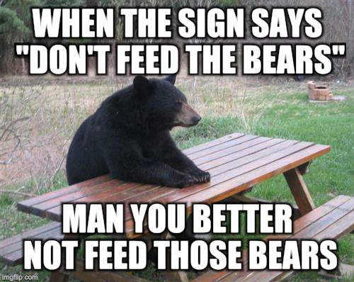 Bad Luck Bear Meme | WHEN THE SIGN SAYS "DON'T FEED THE BEARS" MAN YOU BETTER NOT FEED THOSE BEARS | image tagged in memes,bad luck bear | made w/ Imgflip meme maker