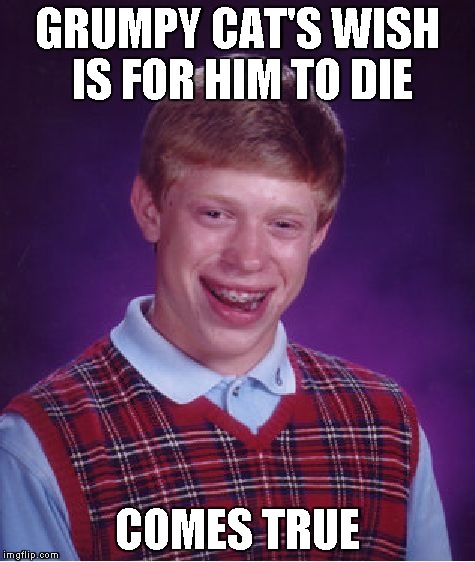Bad Luck Brian Meme | GRUMPY CAT'S WISH IS FOR HIM TO DIE COMES TRUE | image tagged in memes,bad luck brian | made w/ Imgflip meme maker