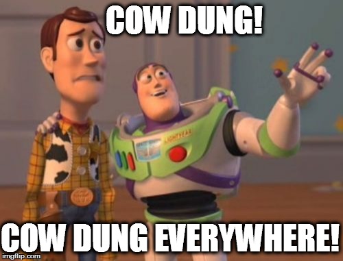 X, X Everywhere Meme | COW DUNG! COW DUNG EVERYWHERE! | image tagged in memes,x x everywhere | made w/ Imgflip meme maker