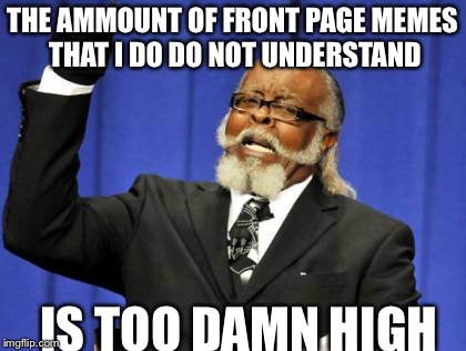 Too Damn High Meme | THE AMMOUNT OF FRONT PAGE MEMES THAT I DO DO NOT UNDERSTAND IS TOO DAMN HIGH | image tagged in memes,too damn high | made w/ Imgflip meme maker