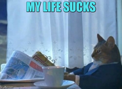 I Should Buy A Boat Cat | MY LIFE SUCKS | image tagged in memes,i should buy a boat cat | made w/ Imgflip meme maker