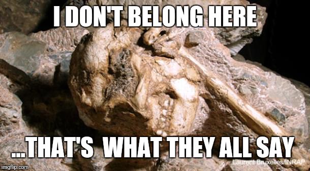 out of place fossils | I DON'T BELONG HERE ...THAT'S  WHAT THEY ALL SAY | image tagged in bones,weird science,evolution | made w/ Imgflip meme maker
