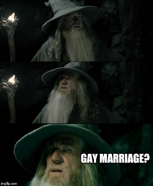 Confused Gandalf | GAY MARRIAGE? | image tagged in memes,confused gandalf | made w/ Imgflip meme maker