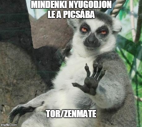 Stoner Lemur Meme | MINDENKI NYUGODJON LE A PICSÁBA TOR/ZENMATE | image tagged in memes,stoner lemur | made w/ Imgflip meme maker