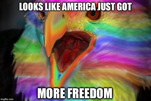 Rainbow Freedom Eagle | LOOKS LIKE AMERICA JUST GOT MORE FREEDOM | image tagged in rainbow freedom eagle,AdviceAnimals | made w/ Imgflip meme maker