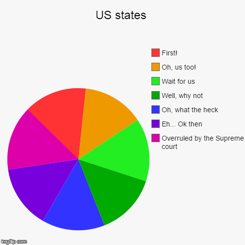 State of progress, progress of states | image tagged in funny,pie charts,gay marriage,usa | made w/ Imgflip chart maker