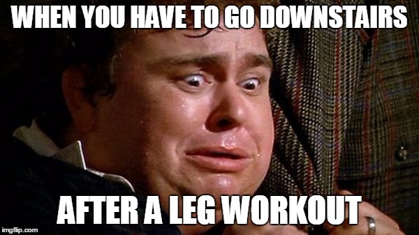 Leg Day | WHEN YOU HAVE TO GO DOWNSTAIRS AFTER A LEG WORKOUT | image tagged in workout | made w/ Imgflip meme maker