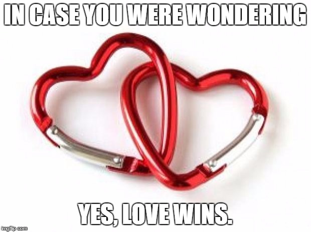2hearts1 | IN CASE YOU WERE WONDERING YES, LOVE WINS. | image tagged in 2hearts1 | made w/ Imgflip meme maker