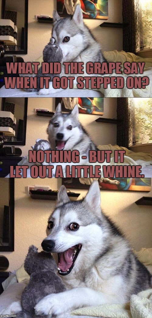 Bad Pun Dog Meme | WHAT DID THE GRAPE SAY WHEN IT GOT STEPPED ON? NOTHING - BUT IT LET OUT A LITTLE WHINE. | image tagged in memes,bad pun dog | made w/ Imgflip meme maker