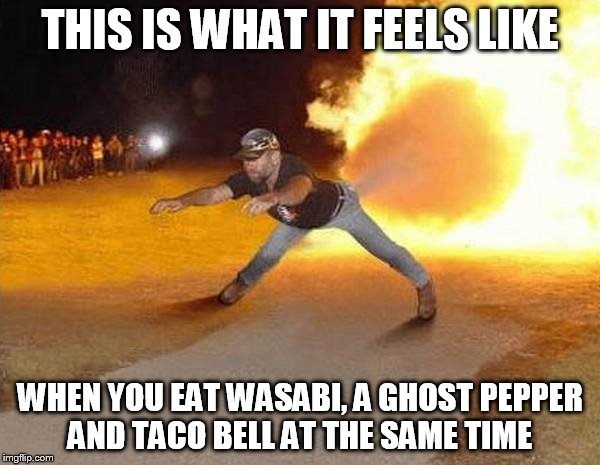 fire fart | THIS IS WHAT IT FEELS LIKE WHEN YOU EAT WASABI, A GHOST PEPPER AND TACO BELL AT THE SAME TIME | image tagged in fire fart | made w/ Imgflip meme maker