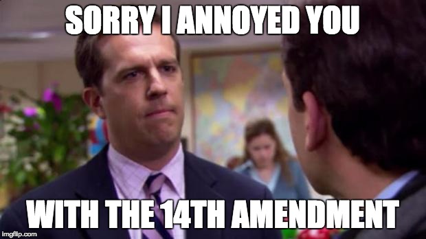 Sorry I annoyed you | SORRY I ANNOYED YOU WITH THE 14TH AMENDMENT | image tagged in sorry i annoyed you | made w/ Imgflip meme maker