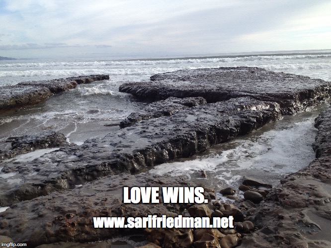 www.sarifriedman.net LOVE WINS. | made w/ Imgflip meme maker