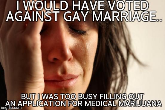 Walmart sells marijuana now? | I WOULD HAVE VOTED AGAINST GAY MARRIAGE.. BUT I WAS TOO BUSY FILLING OUT AN APPLICATION FOR MEDICAL MARIJUANA | image tagged in memes,first world problems | made w/ Imgflip meme maker