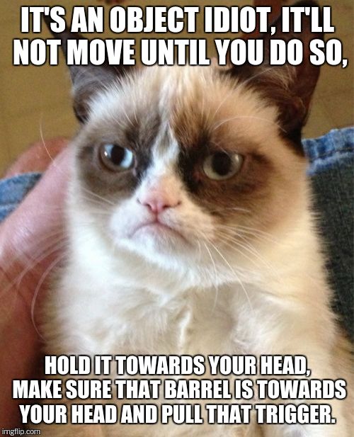 Grumpy Cat Meme | IT'S AN OBJECT IDIOT, IT'LL NOT MOVE UNTIL YOU DO SO, HOLD IT TOWARDS YOUR HEAD, MAKE SURE THAT BARREL IS TOWARDS YOUR HEAD AND PULL THAT TR | image tagged in memes,grumpy cat | made w/ Imgflip meme maker