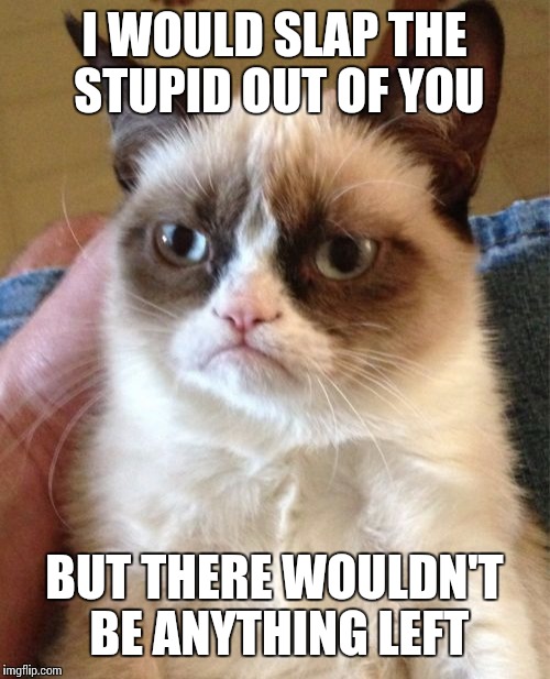 Grumpy Cat Meme | I WOULD SLAP THE STUPID OUT OF YOU BUT THERE WOULDN'T BE ANYTHING LEFT | image tagged in memes,grumpy cat | made w/ Imgflip meme maker