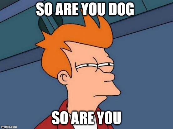 Futurama Fry Meme | SO ARE YOU DOG SO ARE YOU | image tagged in memes,futurama fry | made w/ Imgflip meme maker