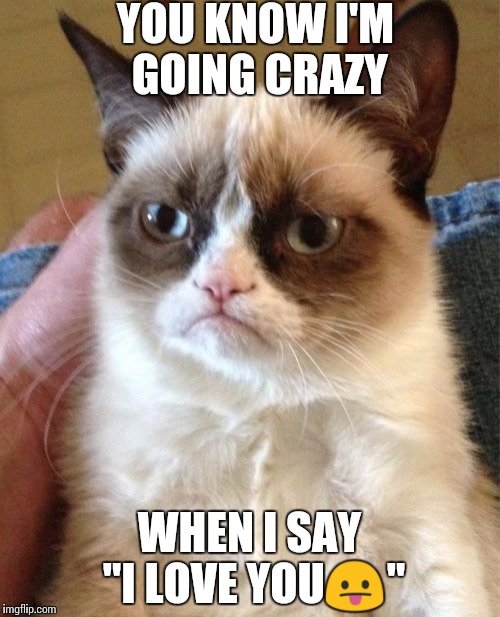 Grumpy Cat | YOU KNOW I'M GOING CRAZY WHEN I SAY "I LOVE YOU | image tagged in memes,grumpy cat | made w/ Imgflip meme maker
