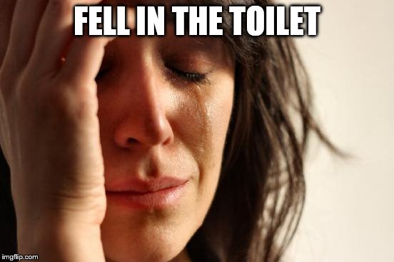 First World Problems Meme | FELL IN THE TOILET | image tagged in memes,first world problems | made w/ Imgflip meme maker