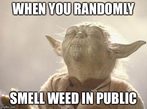 That moment when... | image tagged in yoda,weed,memes | made w/ Imgflip meme maker