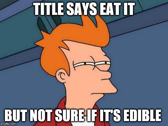 Futurama Fry Meme | TITLE SAYS EAT IT BUT NOT SURE IF IT'S EDIBLE | image tagged in memes,futurama fry | made w/ Imgflip meme maker