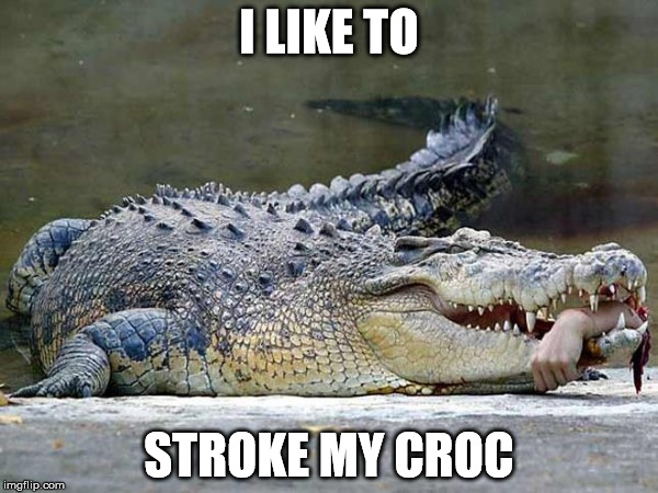 stroke my croc | I LIKE TO STROKE MY CROC | image tagged in crocodile,like | made w/ Imgflip meme maker
