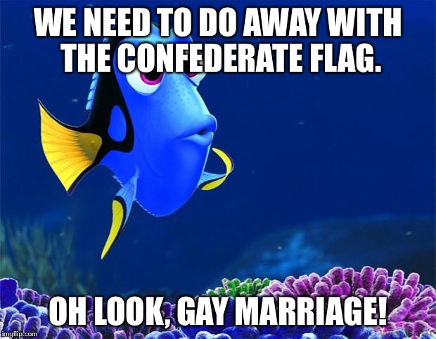 Dory | WE NEED TO DO AWAY WITH THE CONFEDERATE FLAG. OH LOOK, GAY MARRIAGE! | image tagged in dory,AdviceAnimals | made w/ Imgflip meme maker