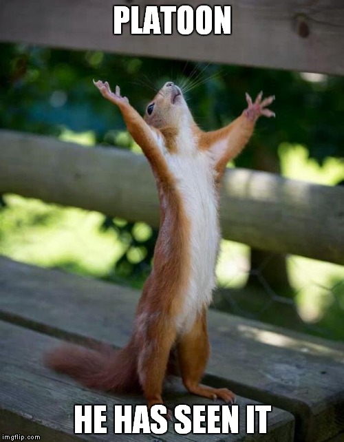 Happy Squirrel | PLATOON HE HAS SEEN IT | image tagged in happy squirrel | made w/ Imgflip meme maker