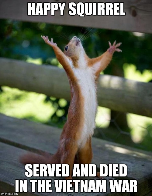 Happy Squirrel | HAPPY SQUIRREL SERVED AND DIED IN THE VIETNAM WAR | image tagged in happy squirrel | made w/ Imgflip meme maker