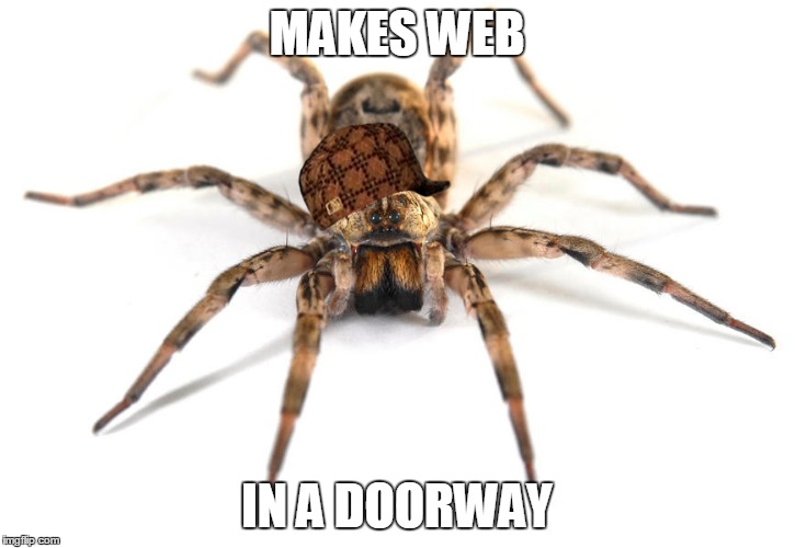 Scumbag spider | MAKES WEB IN A DOORWAY | image tagged in scumbag hat,meme | made w/ Imgflip meme maker