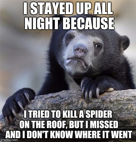 Confession Bear | I STAYED UP ALL NIGHT BECAUSE I TRIED TO KILL A SPIDER ON THE ROOF, BUT I MISSED AND I DON'T KNOW WHERE IT WENT | image tagged in memes,confession bear | made w/ Imgflip meme maker