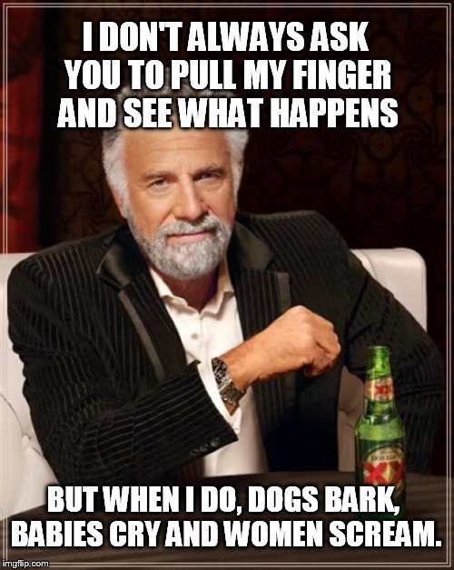 The Most Interesting Man In The World Meme | I DON'T ALWAYS ASK YOU TO PULL MY FINGER AND SEE WHAT HAPPENS BUT WHEN I DO, DOGS BARK, BABIES CRY AND WOMEN SCREAM. | image tagged in memes,the most interesting man in the world | made w/ Imgflip meme maker