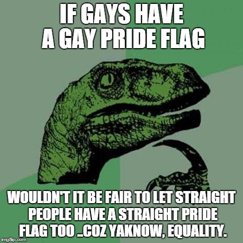 Philosoraptor Meme | IF GAYS HAVE A GAY PRIDE FLAG WOULDN'T IT BE FAIR TO LET STRAIGHT PEOPLE HAVE A STRAIGHT PRIDE FLAG TOO ..COZ YAKNOW, EQUALITY. | image tagged in memes,philosoraptor | made w/ Imgflip meme maker