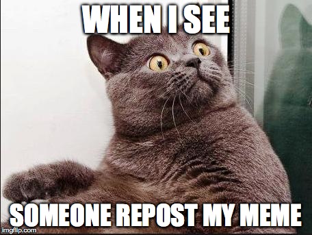 *groans* | WHEN I SEE SOMEONE REPOST MY MEME | image tagged in scared cat,repost,memes | made w/ Imgflip meme maker