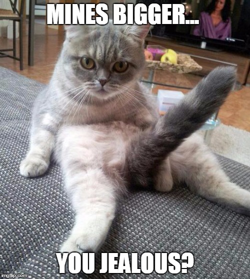 Sexy Cat Meme | MINES BIGGER... YOU JEALOUS? | image tagged in memes,sexy cat | made w/ Imgflip meme maker