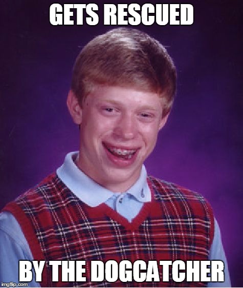 Bad Luck Brian Meme | GETS RESCUED BY THE DOGCATCHER | image tagged in memes,bad luck brian | made w/ Imgflip meme maker