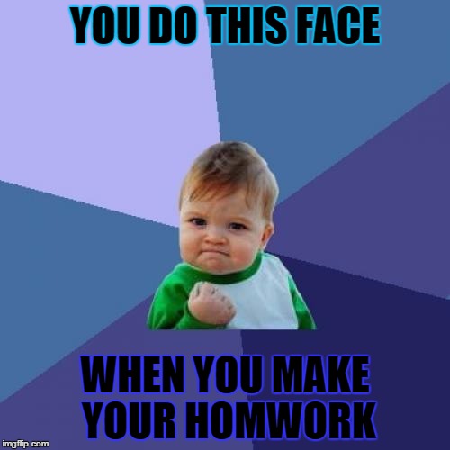 Success Kid | YOU DO THIS FACE WHEN YOU MAKE YOUR HOMWORK | image tagged in memes,success kid | made w/ Imgflip meme maker