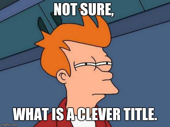 Pick a clever title.  | NOT SURE, WHAT IS A CLEVER TITLE. | image tagged in memes,futurama fry | made w/ Imgflip meme maker