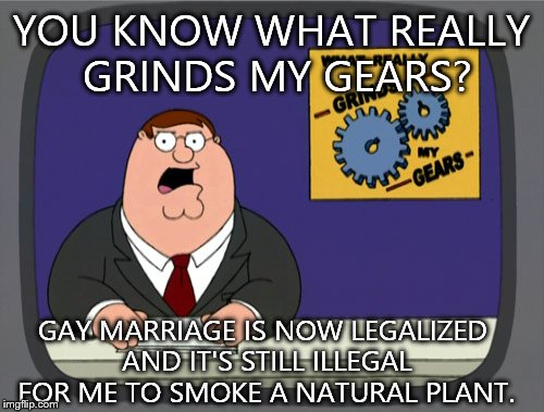 Peter Griffin News Meme | YOU KNOW WHAT REALLY GRINDS MY GEARS? GAY MARRIAGE IS NOW LEGALIZED AND IT'S STILL ILLEGAL FOR ME TO SMOKE A NATURAL PLANT. | image tagged in memes,peter griffin news | made w/ Imgflip meme maker