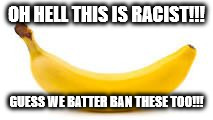 OH HELL THIS IS RACIST!!! GUESS WE BATTER BAN THESE TOO!!! | image tagged in abanana | made w/ Imgflip meme maker