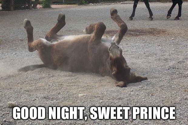 Donkey | GOOD NIGHT, SWEET PRINCE | image tagged in donkey | made w/ Imgflip meme maker