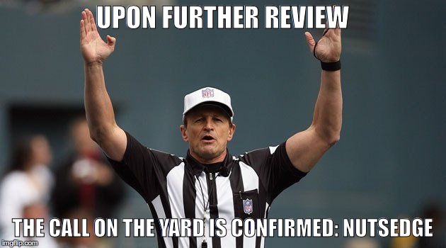 NFL Ref | UPON FURTHER REVIEW THE CALL ON THE YARD IS CONFIRMED:
NUTSEDGE | image tagged in nfl ref | made w/ Imgflip meme maker