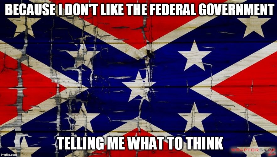 Confederate Flag | BECAUSE I DON'T LIKE THE FEDERAL GOVERNMENT TELLING ME WHAT TO THINK | image tagged in confederate flag | made w/ Imgflip meme maker
