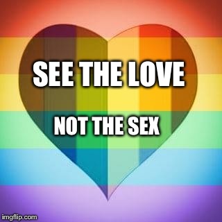 See The Love Not The Sex | SEE THE LOVE NOT THE SEX | image tagged in love wins,gay marriage,see the love not the sex,marriage equality | made w/ Imgflip meme maker