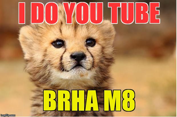WTF cheetah | I DO YOU TUBE BRHA M8 | image tagged in wtf cheetah | made w/ Imgflip meme maker
