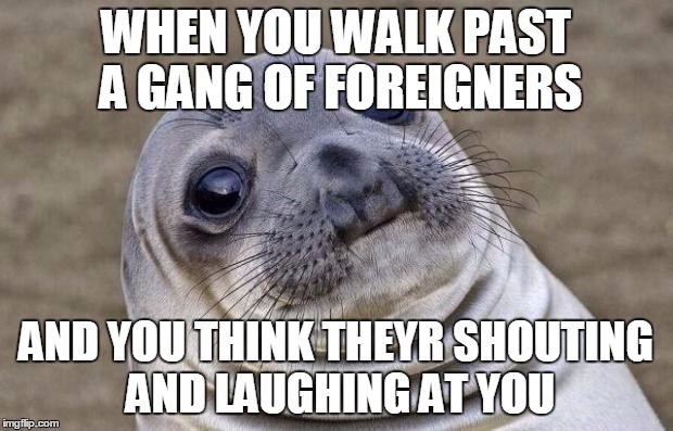 Awkward Moment Sealion | WHEN YOU WALK PAST A GANG OF FOREIGNERS AND YOU THINK THEYR SHOUTING AND LAUGHING AT YOU | image tagged in memes,awkward moment sealion | made w/ Imgflip meme maker