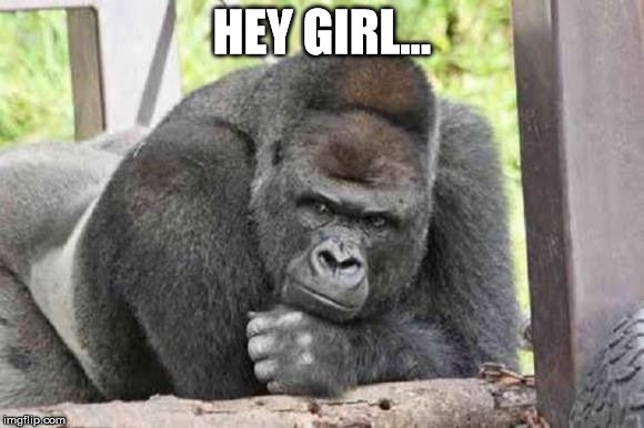 HEY GIRL... | made w/ Imgflip meme maker