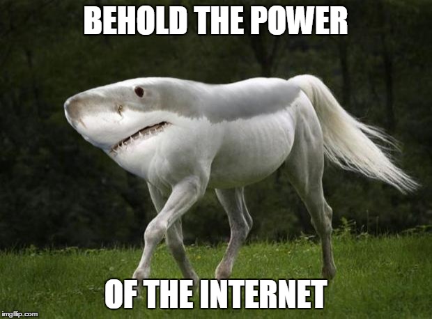 Shark Horse | BEHOLD THE POWER OF THE INTERNET | image tagged in shark horse | made w/ Imgflip meme maker