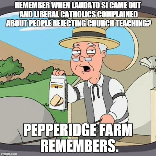 Pepperidge Farm Remembers | REMEMBER WHEN LAUDATO SI CAME OUT AND LIBERAL CATHOLICS COMPLAINED ABOUT PEOPLE REJECTING CHURCH TEACHING? PEPPERIDGE FARM REMEMBERS. | image tagged in memes,pepperidge farm remembers | made w/ Imgflip meme maker