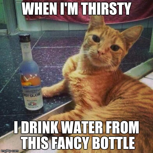 I don't always have vodka | WHEN I'M THIRSTY I DRINK WATER FROM THIS FANCY BOTTLE | image tagged in i don't always have vodka | made w/ Imgflip meme maker