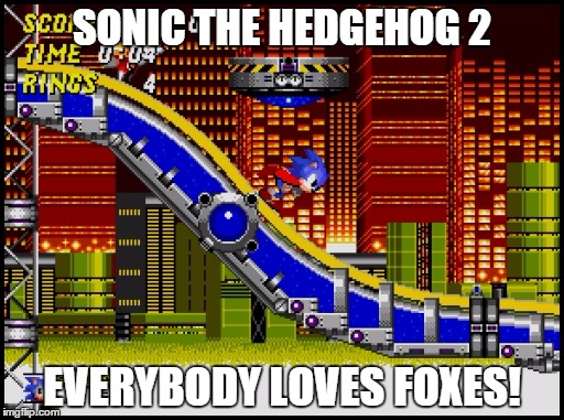 SONIC THE HEDGEHOG 2 EVERYBODY LOVES FOXES! | image tagged in sonic | made w/ Imgflip meme maker